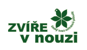 logo ZVN